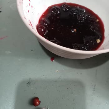 BİM Vişne Reçelinde Çekirdekleri İle Yapılması Ve Ayrıştırılması