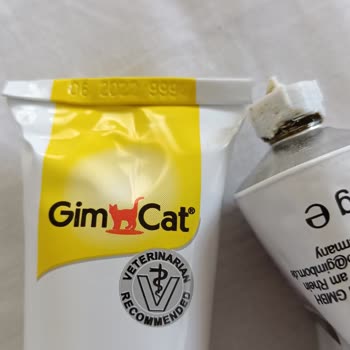 N11 Gimcat Marka Kedi Macunu Tarihi Geçmiş