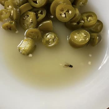 Parla Şalgamları Bozuk Ve Böcekli Yumuşamış Turşu