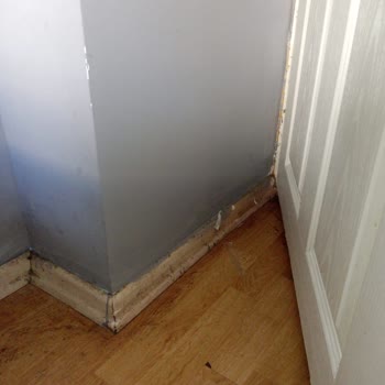 Jolly Home Çok Kötü