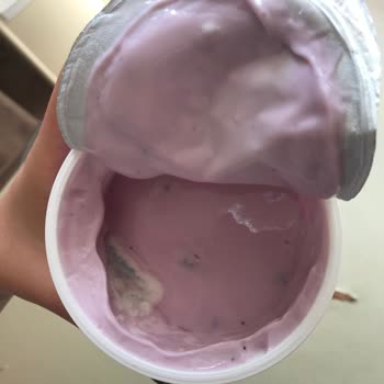 Sek Süt Quark Yaban Mersinlinin İçinden Küf Çıktı!