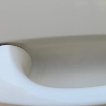 Trino Plastik Çizik Önleyici