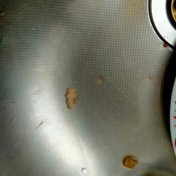 Coca-Cola İçinden Garip Bir Şey Çıkması