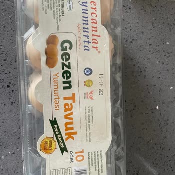 Ercanlar Yumurta Gezen Tavuk İçinden 3 Numara Yumurta Çıkıyor