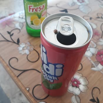 Çaykur Didi İçinden Çıkan Böcekler