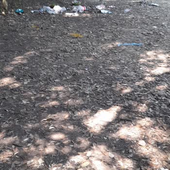 Kuşadası Belediyesi Milli Parkta Çöp Sorunu