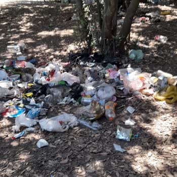 Kuşadası Belediyesi Milli Parkta Çöp Sorunu