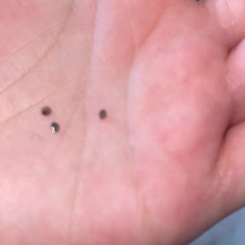 Revza Moda Defolu Ürün Gönderiyor