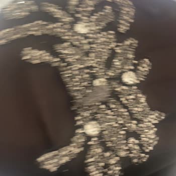 Revza Moda Defolu Ürün Gönderiyor