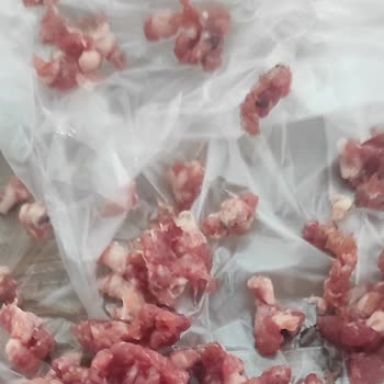 Arnica Promeat W2000 Kıyma Makinesi Siyah Makine Yağı Kaçırıyor