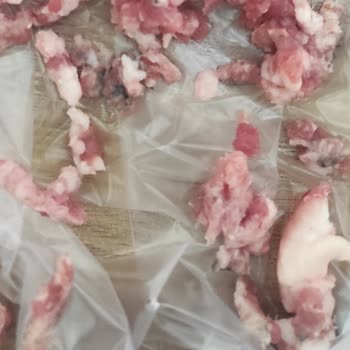 Arnica Promeat W2000 Kıyma Makinesi Siyah Makine Yağı Kaçırıyor