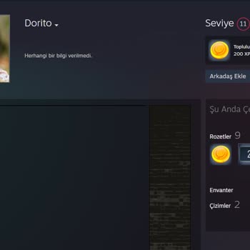 Steam Envanterim İzinsiz Takas Yöntemi İle Boşaltıldı
