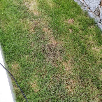 Armut İş Yapan Firma Çok Kötü