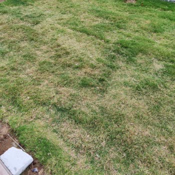 Armut İş Yapan Firma Çok Kötü