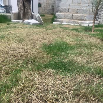 Armut İş Yapan Firma Çok Kötü