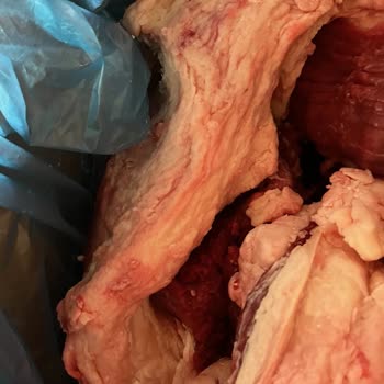 Carrefour SA Kurban Hissesinin Yarısını İç Yağ Olarak Gönderdi