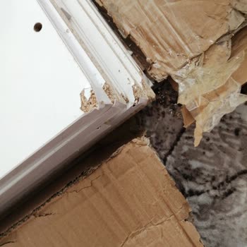 bygolden Kırık Çıkık Ürün