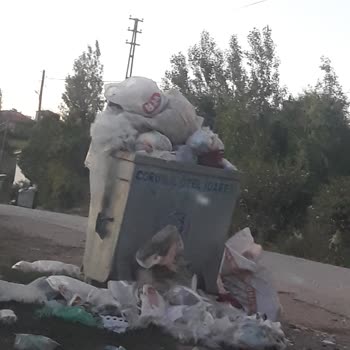 Sungurlu Belediyesi Aşağıfındıklı Da Çöp Sorunu