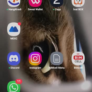 WhatsApp Mesaj Yedekleriniz Kurtarılamadı