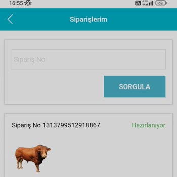 A101 Dana Hisse Kurban Felaketi