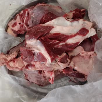 A101 Dana Hisse Kurban Felaketi