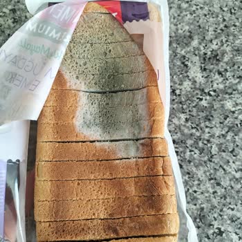 A101 Küflenmiş Nimet Ekmek