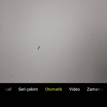 Reeder S19 Max Pro Sıkıntılı Model