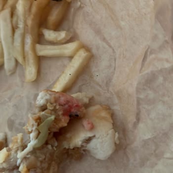 Popeyes Güzelyalı Çiğ Tavuk