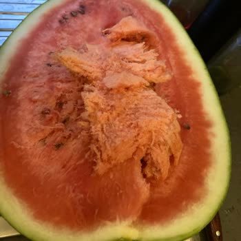 Şok Marketler Bozuk Ürün Satıyorlar