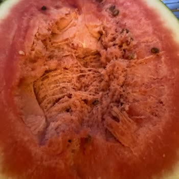 Şok Marketler Bozuk Ürün Satıyorlar