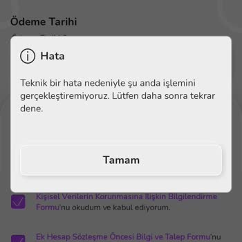 Nays Borç Alma Hakkında