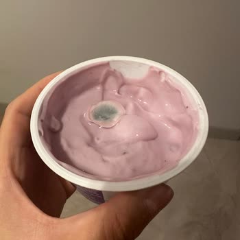 Sek Quark Yoğurdun İçinden Küflü Kağıt Çıktı