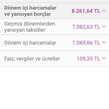 Enpara Kredi Kartımı Ödememe Rağmen Gecikme Faizi Yansıdı