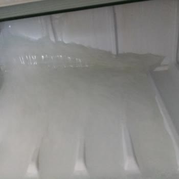 Hoover Buzdolabı Alındığını Günden Beri Her Şeyi Donduruyor