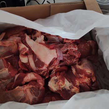 A101 Büyükbaş Kurban Hissesi