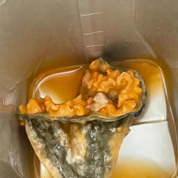 Cappy İçinden Küf Çıktı