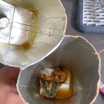 Cappy İçinden Küf Çıktı