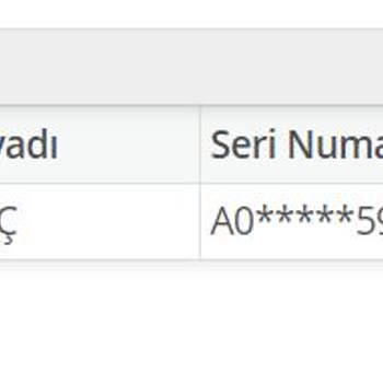 E-Devlet (Turkiye.gov.tr)&nbsp; Kimlik Kartı Kayıp Bildirimi