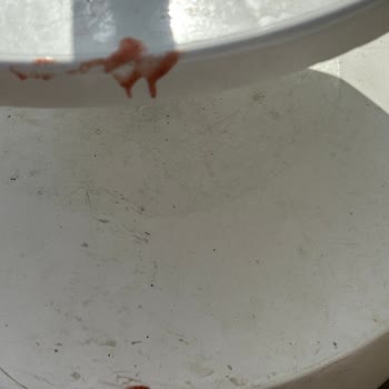 Side Crown Sunshine Müşteri Memnuniyetsizliği