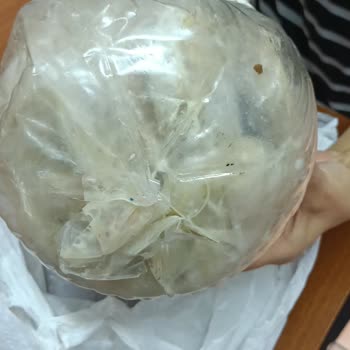 Ege Yöresel Pazar Gelen Ürünler Bozuk