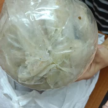 Ege Yöresel Pazar Gelen Ürünler Bozuk