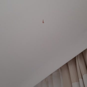 Mio Mare Resort Bodrum Pişmanlığımız