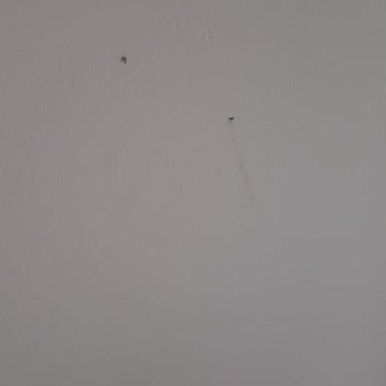 Mio Mare Resort Bodrum Pişmanlığımız