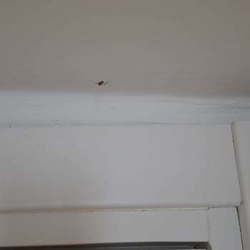 Mio Mare Resort Bodrum Pişmanlığımız