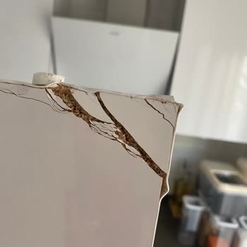 Vivense Erzak Dolabı Pişmanlıktır