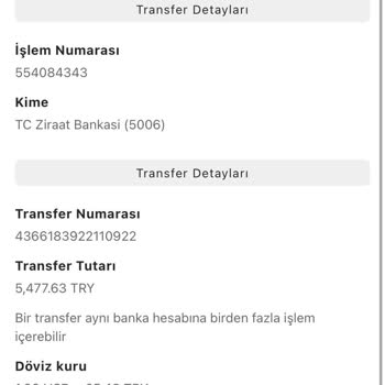 Payoneer Parama El Koydu