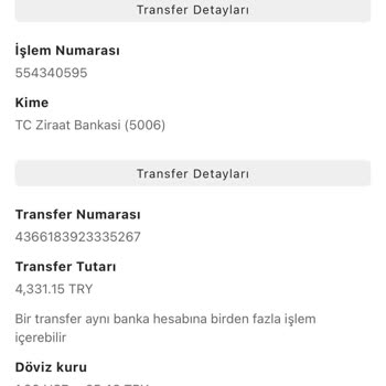 Payoneer Parama El Koydu