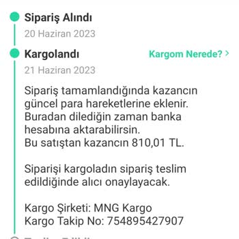 MNG Kargo Koltuğumun Kaybolması Nedeniyle Zararımın Karşılanmasını Talep Ediyorum