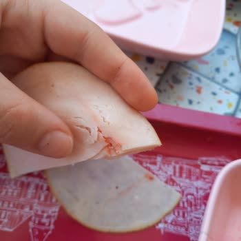Aytaç Piliç Füme İçerisinden Çıkan Pembe/ Kırmızı Renkli Şey Nedir?