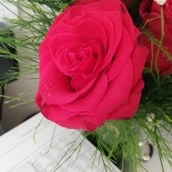 Çiçek Sepeti Solmuş Çiçek Gönderimi